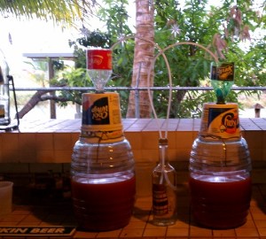 Airlock for Suriname Cherry wine under fermentation