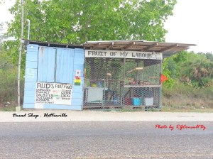 Dread Shop Hattieville