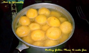 Golden Plums Boiling