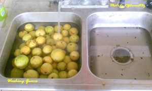 Guava Washing