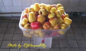 Weighing whole cashew