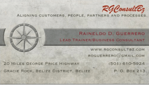 Business Card RGConsultBz
