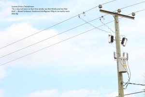 Lessons from a Transformer